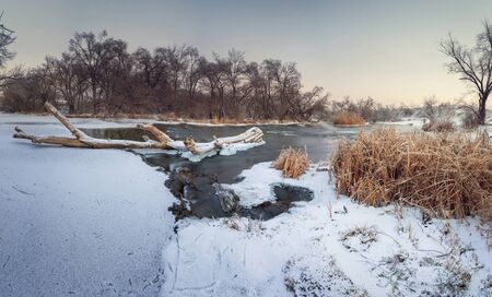 Beautiful winter sunset at the river Krinka. Forest in Ukraineの写真素材