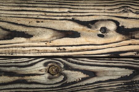 old wood texture. background panels for designの写真素材