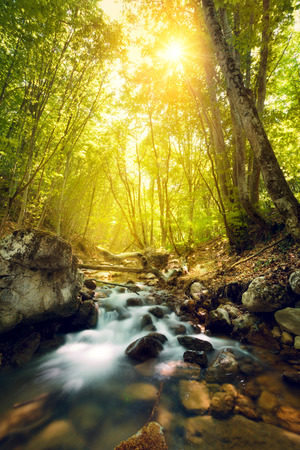 Sunset in the beautiful forest. Mountain river. Summer landscape in Crimeaの写真素材