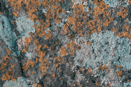 Natural granite stone texture background. Rough and rusty. Close-up, macroの写真素材
