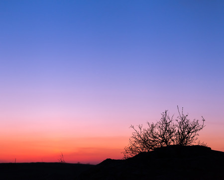 Beautiful landscape image with trees silhouette at sunset in spring in Ukraineの写真素材
