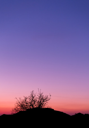 Beautiful landscape image with trees silhouette at sunset in spring in Ukraineの写真素材