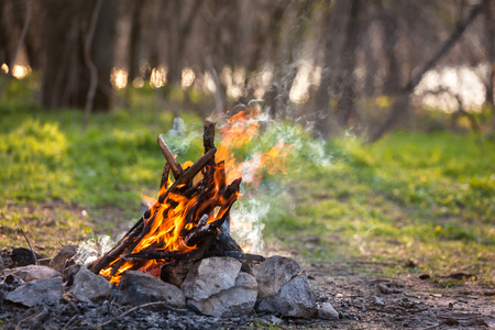 Bonfire in the spring forest. Coals of fire. Ukraineの写真素材