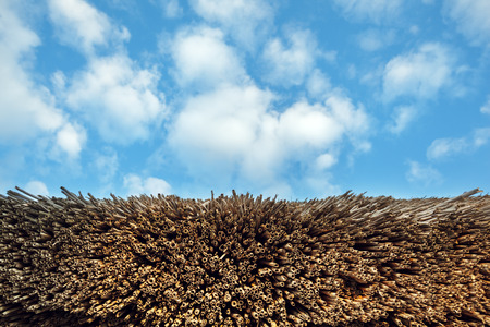 Straw pattern and blue sky with clouds. Background for designの写真素材