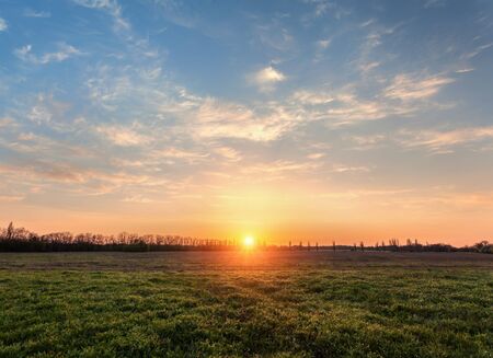 Beautiful sunset. Spring landscape with trail, trees, blue sky and clouds in Ukraine