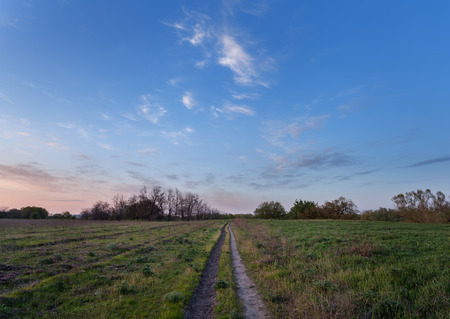 Beautiful sunset. Spring landscape with trail, trees, blue sky and clouds in Ukraineの写真素材