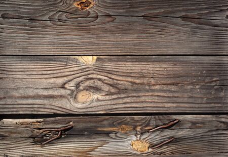 Door. Old wood texture. background old panels for designの写真素材