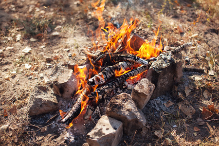 Bonfire in the autumn forest. Coals of fire. Backgroundの写真素材