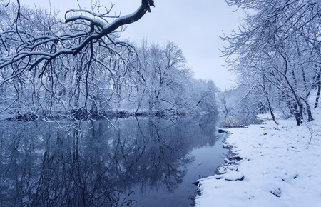 Winter landscape with river in forest.の写真素材