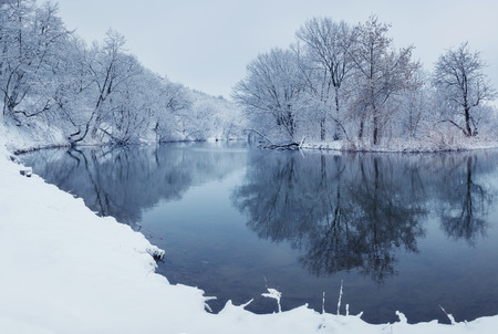 Winter landscape with river in forest.の写真素材
