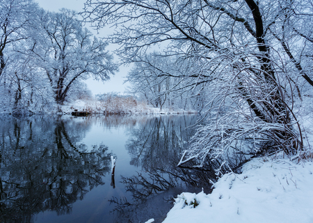 Winter landscape with river in forest.の写真素材