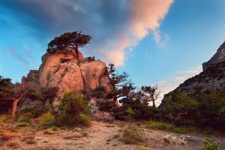 Sunrise in mountains with path through the forest. Sunny morning in Crimea. Beautiful colorful landscape in summer.の写真素材