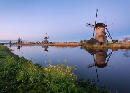 Spring landscape with beautiful traditional dutch windmills near the water channels with reflection in water at sunrise in famous Kinderdijk, Netherlandsの写真素材
