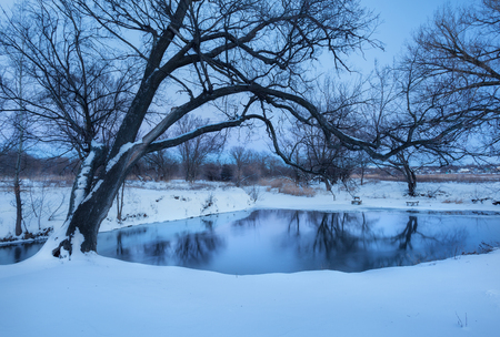 Old tree with frozen river in winter at sunset. Beautiful landscape with winter forest, snowy river, blue sky and reflection in water. Snow. Seasonal nature backgroundの写真素材