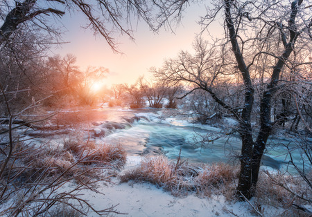 Christmas background with snowy forest. Winter landscape with snowy trees, beautiful frozen river and bushes at sunset. Winter forest. Colorful sky. Water in motion. Trees covered with snow and iceの写真素材