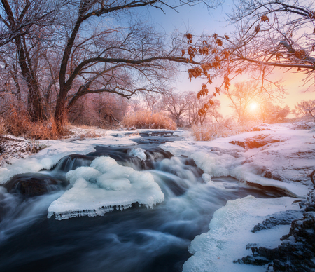 Christmas background with snowy forest. Winter landscape with snowy trees, beautiful frozen river and bushes at sunset. Winter forest. Colorful sky. Water in motion. Trees covered with snow and iceの写真素材