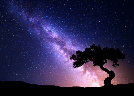 Milky Way and tree on the hill. Old tree growing out of the mountain against night starry sky with purple milky way. Night landscape. Space background. Galaxy. Travel.. Wilderness, wild natureの写真素材