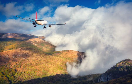 Airplane. Landscape with white passenger airplane is flying over the mountains, green forest and clouds at sunset. Journey. Passenger airliner is landing. Business trip. Commercial planeの写真素材