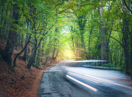 Blurred car going mountain road in summer forest at sunset. Car in motion in the evening. Beautiful landscape with asphalt road, car, colorful green forest and yellow sunlight. Travel backgroundの写真素材