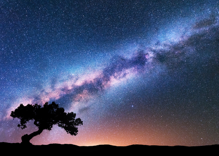 Milky Way with alone old crooked tree on the hill. Colorful night landscape with bright milky way, starry sky, tree, yellow light in summer. Space background. Galaxy. Beautiful universe. Travelの写真素材