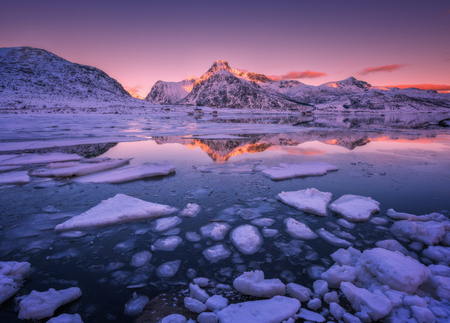 Floating ice in the sea against snowy mountains and pink sky at beautiful sunset. Lofoten islands, Norway. Winter landscape with frosty coast, rocks, reflection in water in cold evening. Seascapeの写真素材