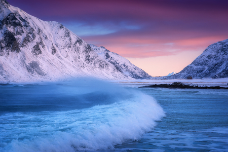 Sandy beach with blue sea and waves in winter at sunset in Lofoten islands, Norway. Landscape with snowy mountains, colorful sky with pink and purple clouds, turquoise water. Norwegian seashoreの写真素材