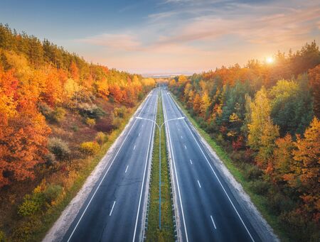 Aerial view of asphalt road in beautiful autumn forest at sunset. Colorful landscape with empty...