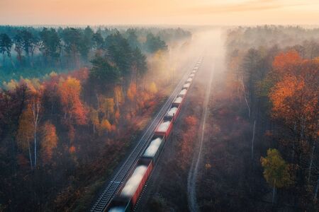 Aerial view of freight train in beautiful forest in fog at sunrise in autumn. Colorful landscape...