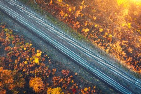 Aerial view of railroad in beautiful forest at sunset in autumn. Industrial landscape with railway station, trees with orange leaves in fall. Top view of rural railway platform. Transportationの写真素材