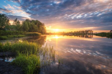 Beautiful river coast at sunset in summer. Colorful landscape with lake, green trees and grass, blue sky with multicolored clouds and orange sunlight reflected in water. Nature. Vibrant sceneryの写真素材