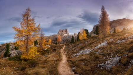 Beautiful orange trees and path in mountains at sunset. Autumnの写真素材