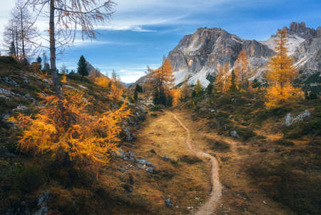 Beautiful orange trees and path in mountains at sunset. Autumnの写真素材
