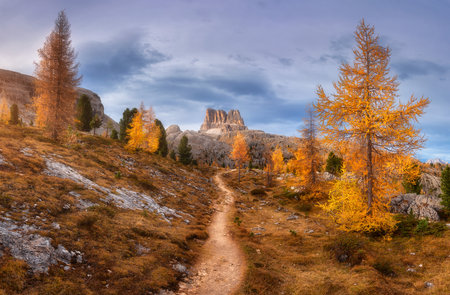 Beautiful orange trees and path in mountains at sunset. Autumnの写真素材