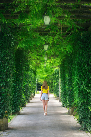 Green trees alley and young woman in blooming park in summerの写真素材