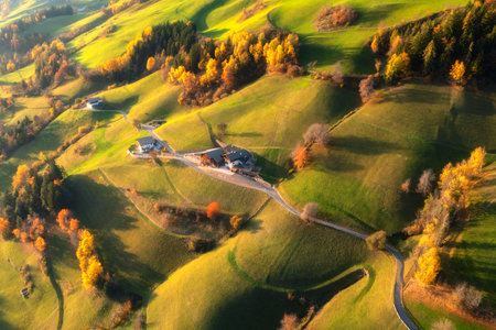 Aerial view of amazing green alpine meadows, orange trees, hillsの写真素材
