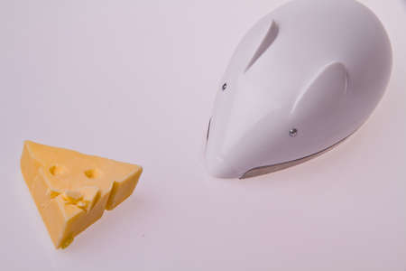 plastic mouseの写真素材