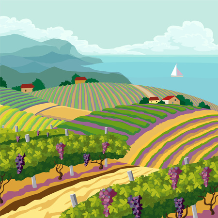 Rural landscape with vineyard and mountain and sea panoramのイラスト素材
