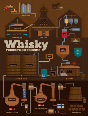 Detailed whisky production process from barley grain to filling casksのイラスト素材