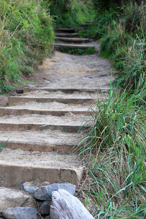 Long stone stairway cut into beach grass going up mountainside
