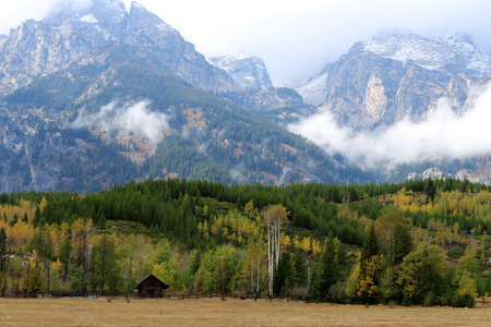 Cabin on a small ranch set among the tall aspen and pine trees at the base of the mountainsのeditorial素材