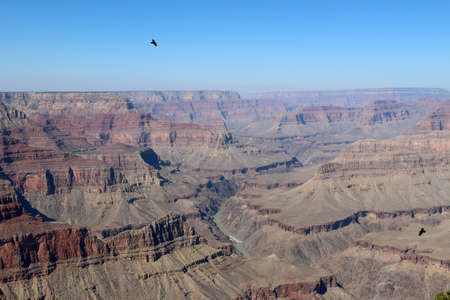 View into the Grand Canyon in the usa arizonaの写真素材