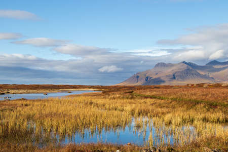 beautiful grassy landscape in Iceland Autumn