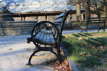 Row of park benches
