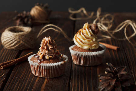two brown chocolate cupcakes on wood background with cinnamon and conesの写真素材