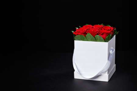 Romantic red roses in a small square whie gift box to place the logo on a black background, studio shooting,spring is coming,international women's dayの写真素材