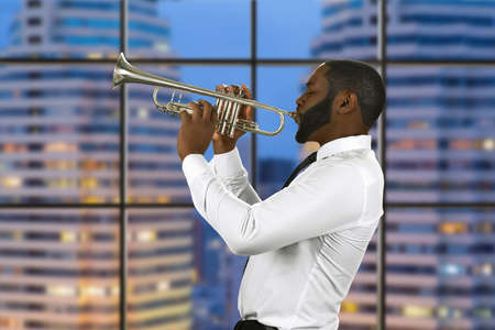 Enthusiast with a trumpet. Jazz performance in megalopolis. Impressive musician has skills. The view...
