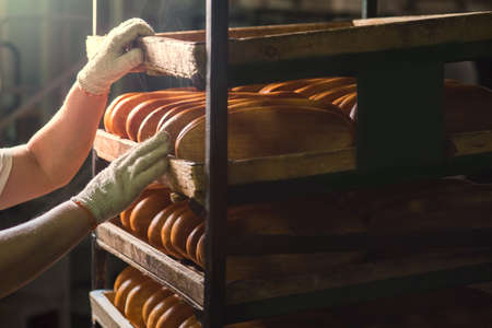 Seller puts  bread on  shelf. Fresh buns from the oven. Baking bread. Transportation of baking. Confectionery.の写真素材