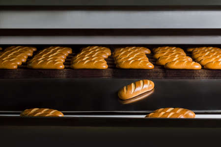 Buns falling from the furnace on the conveyor. Manufacture of bread at the bakery factory. Hot buns from the oven. Fresh bread. Grain harvest.の写真素材
