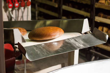 Freshly baked bread. Conveyor line with the bread. Plant of the production bread. Hot bread on the...