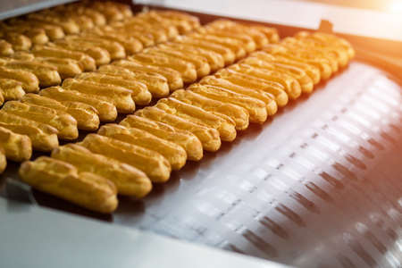 Eclair shells on conveyor line. Rows of eclair shells. Huge order for confectionery plant. Standard...